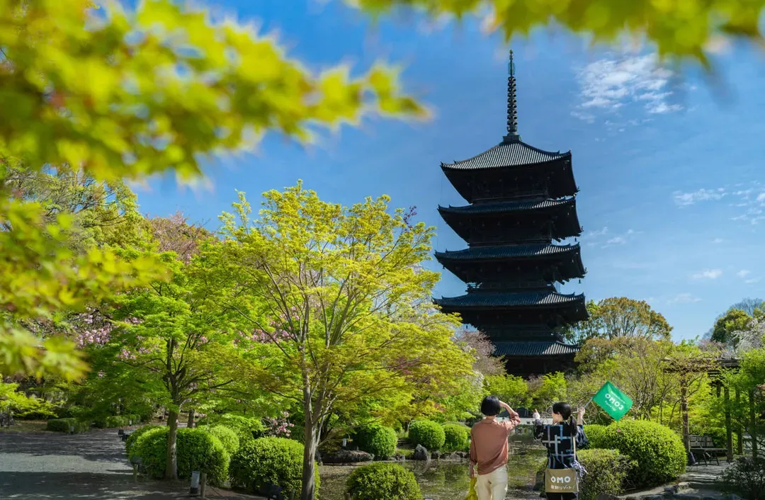 【星野集團】OMO3 京都東寺｜東寺站徒歩2分/京都站徒歩13分-17