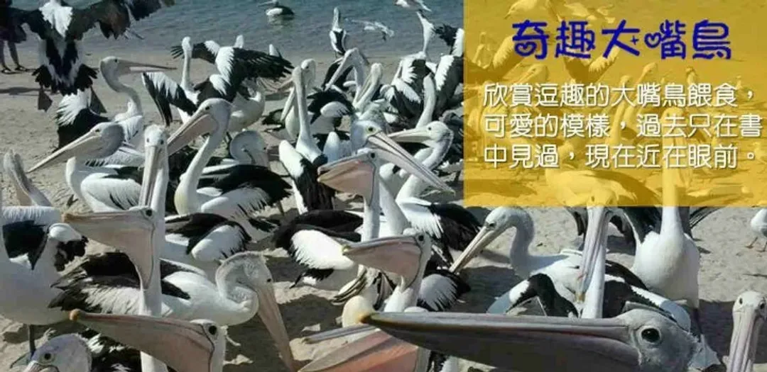 undefined-1