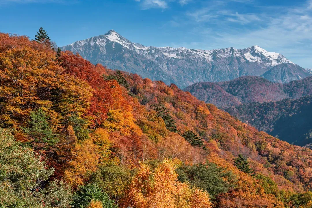 【星野集團】界 奥飛驒｜高山站開車45分/上高地開車20分-8