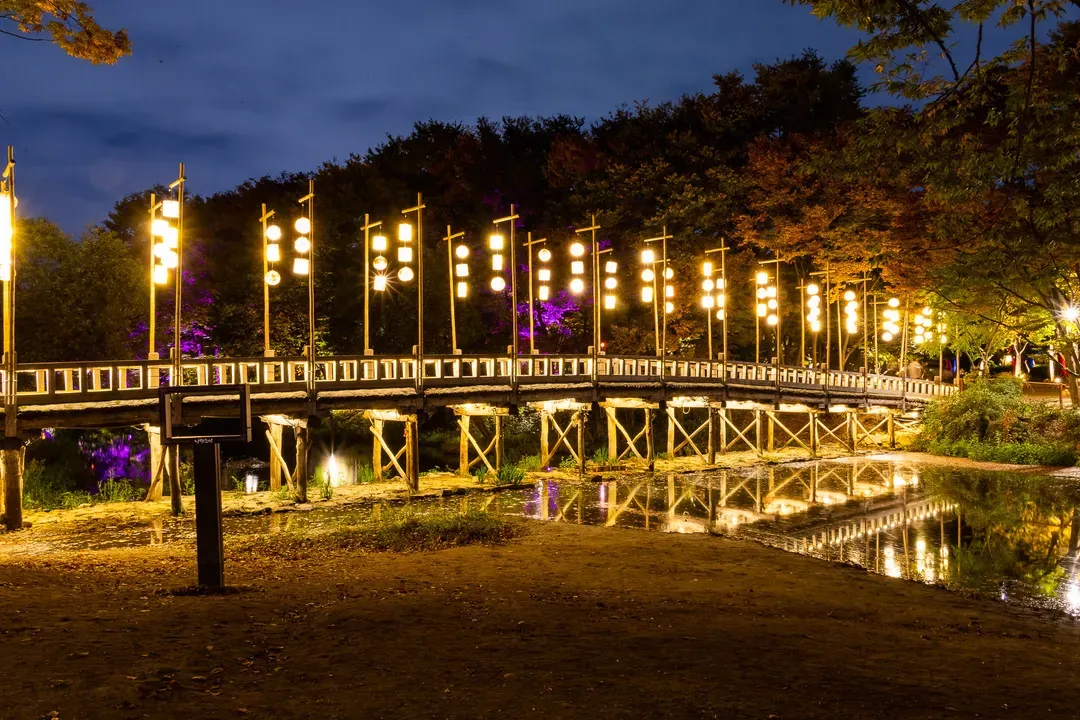 韓國民俗村夜景