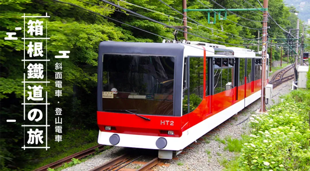 【東京旅遊6日 高雄來回】迪士尼、麻布台之丘、箱根鐵道、新倉山公園、身延山纜車、螃蟹吃到飽、晚去晚回-7