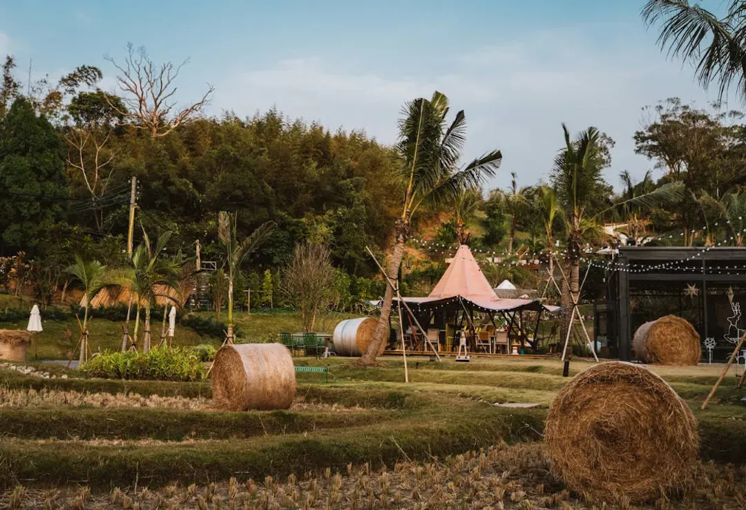 山Chill｜豪華星球帳、露營車一泊四食+體驗-19