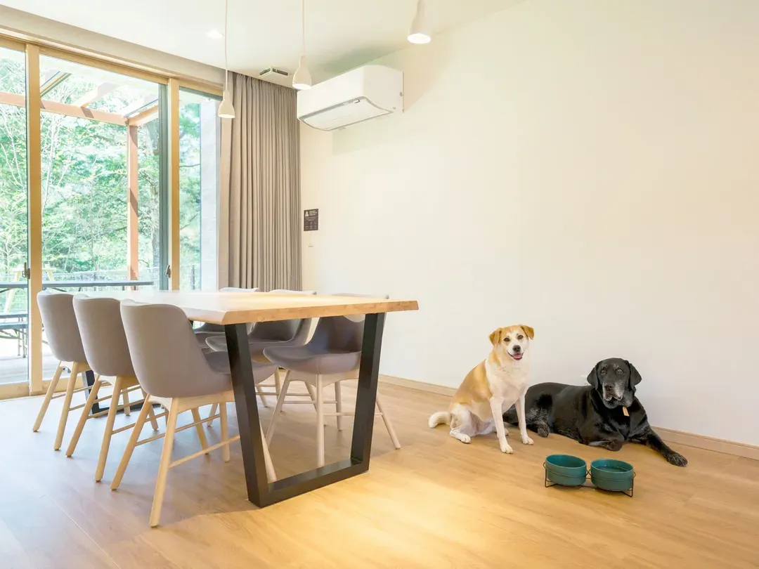 Rakuten STAY VILLA Kinugawa Riverside