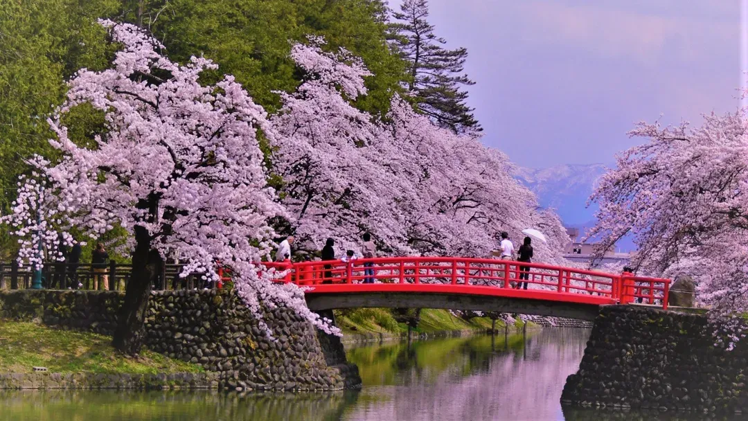 小野川溫泉 名湯旅館 吾妻莊｜大浴場/上杉神社開車13分/近米澤車站