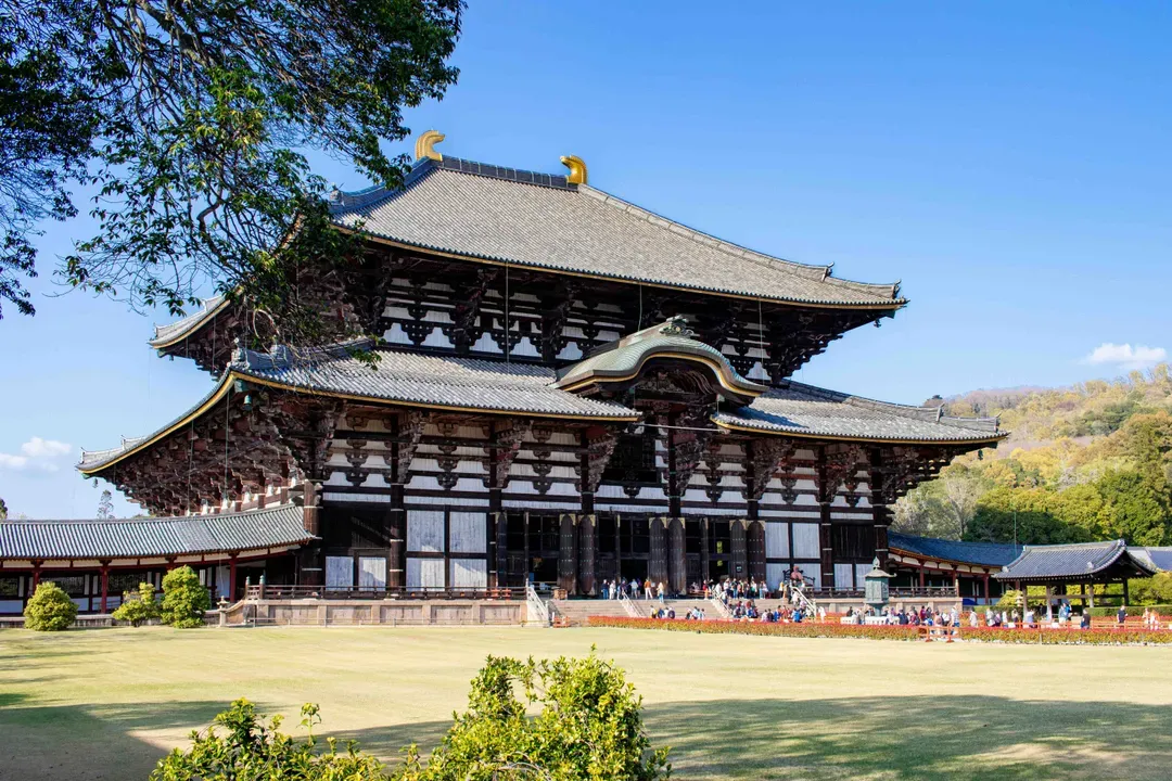 【奈良半日遊】英語導覽觀光巴士「Perfect Nara Park Tour」｜英文導覽/ 含鹿仙貝費-9