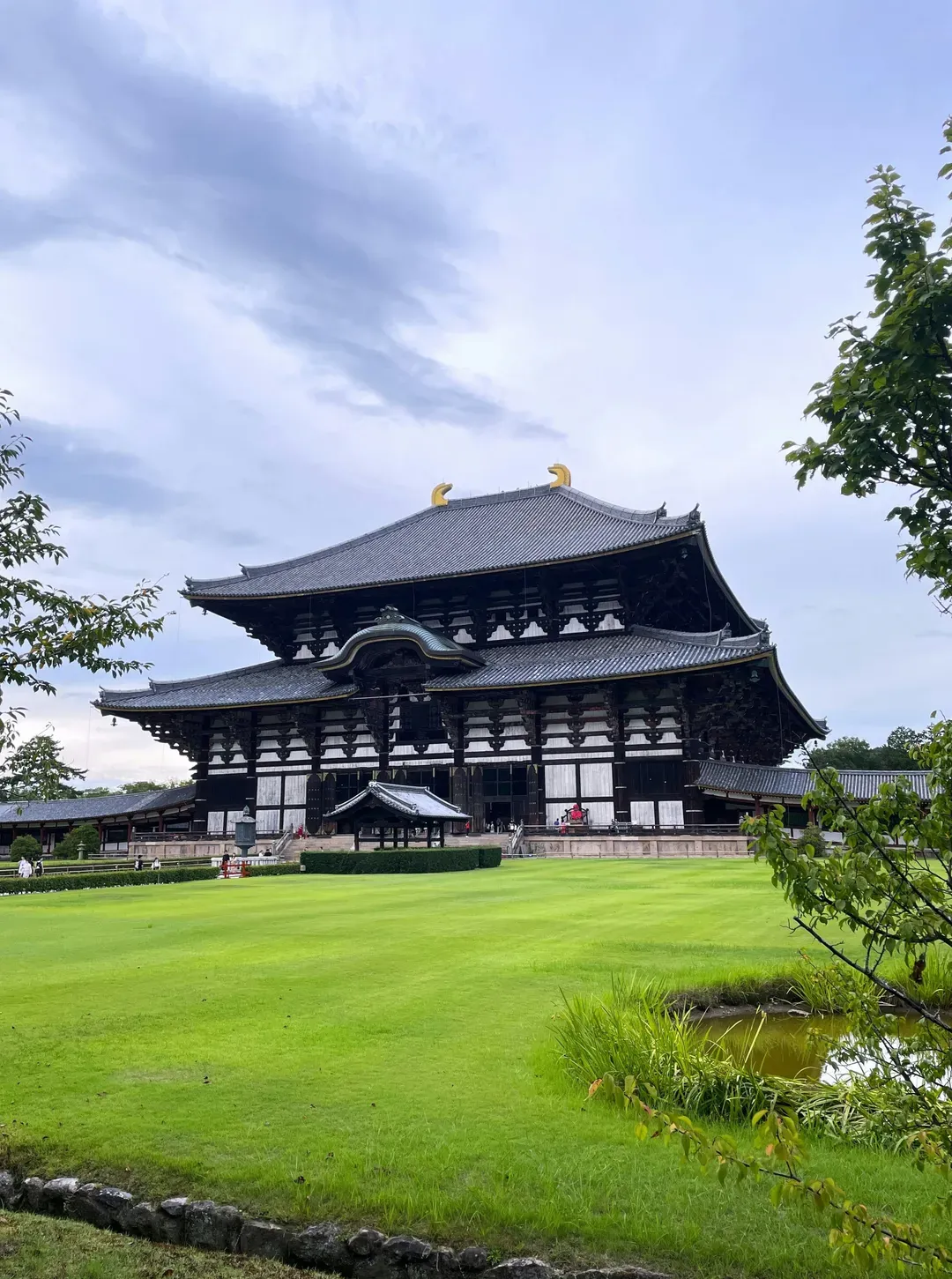 【奈良半日遊】英語導覽觀光巴士「Perfect Nara Park Tour」｜英文導覽/ 含鹿仙貝費-6