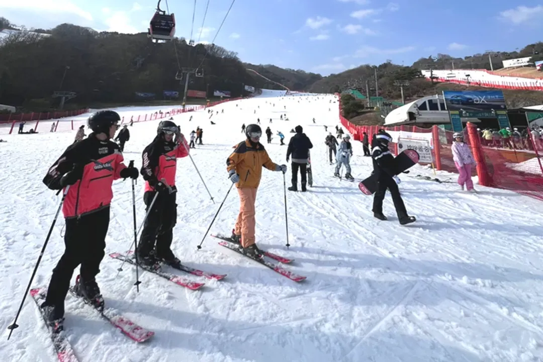 自由滑雪