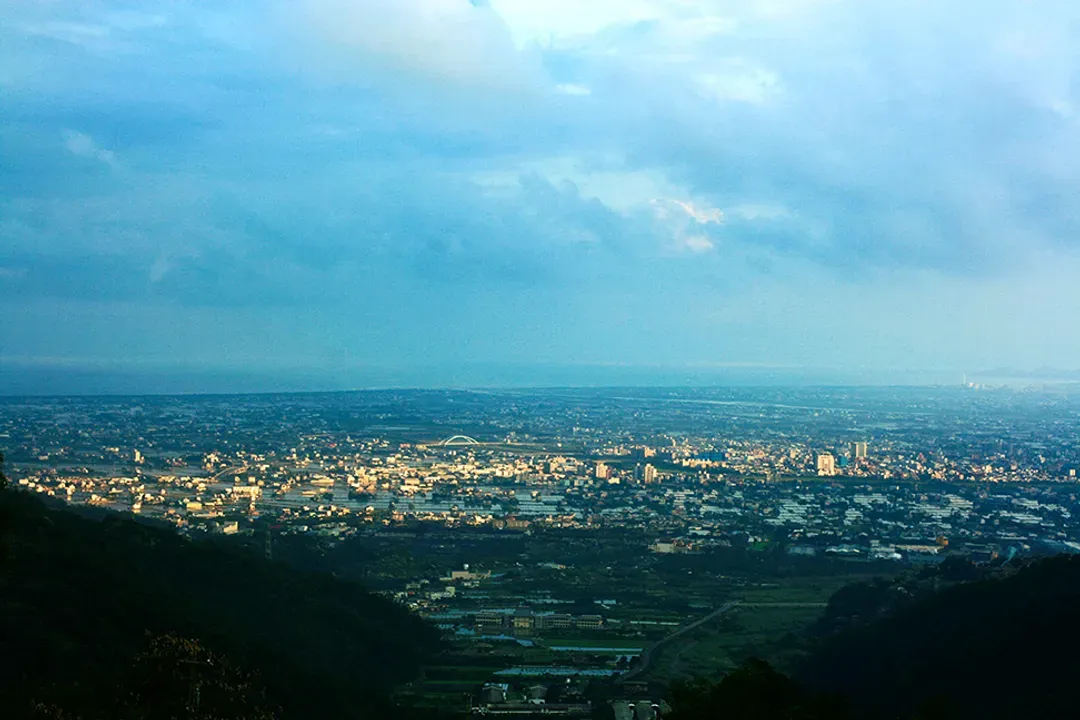 O.M The View