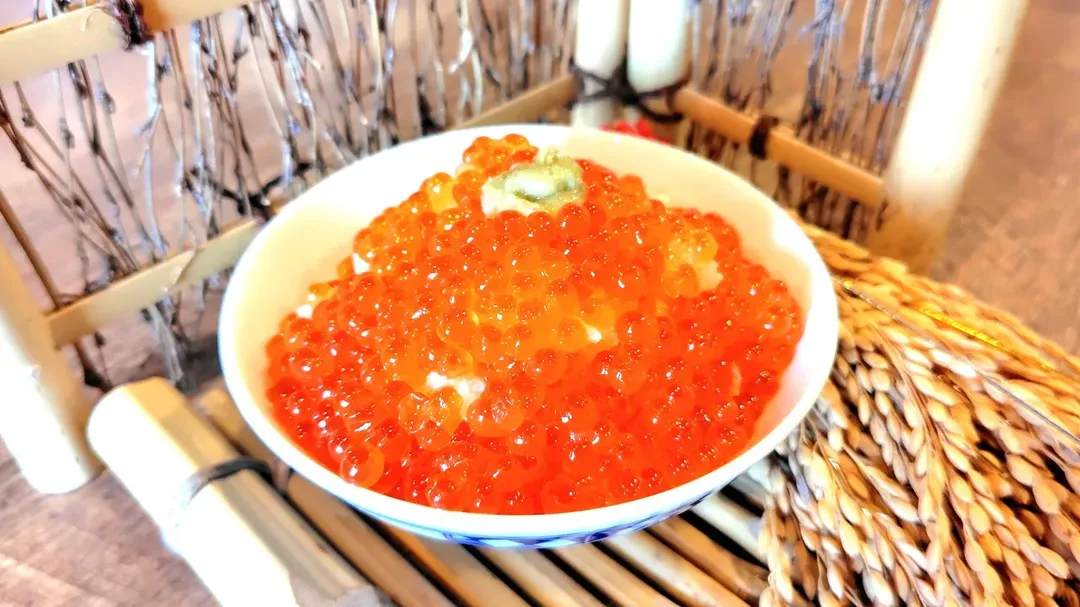 福井cooju飯店｜恐龍主題家庭房/福井恐龍博物館開車35分/丸岡城開車10分-15