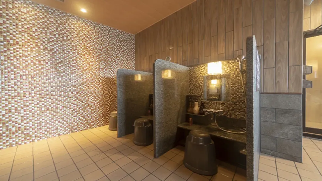 Dormy Inn Fukui (Tennen Onsen Habutae no Yu Dormy Inn Fukui)