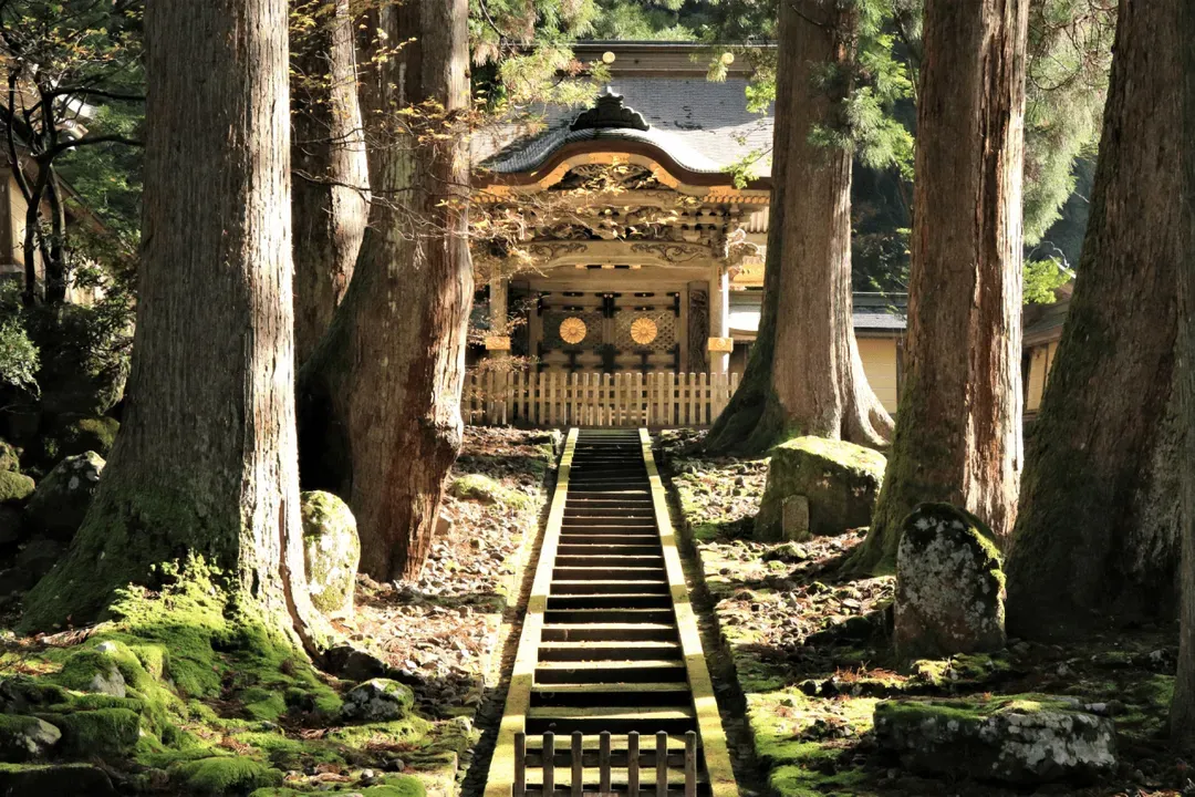 Dormy Inn Fukui (Tennen Onsen Habutae no Yu Dormy Inn Fukui)