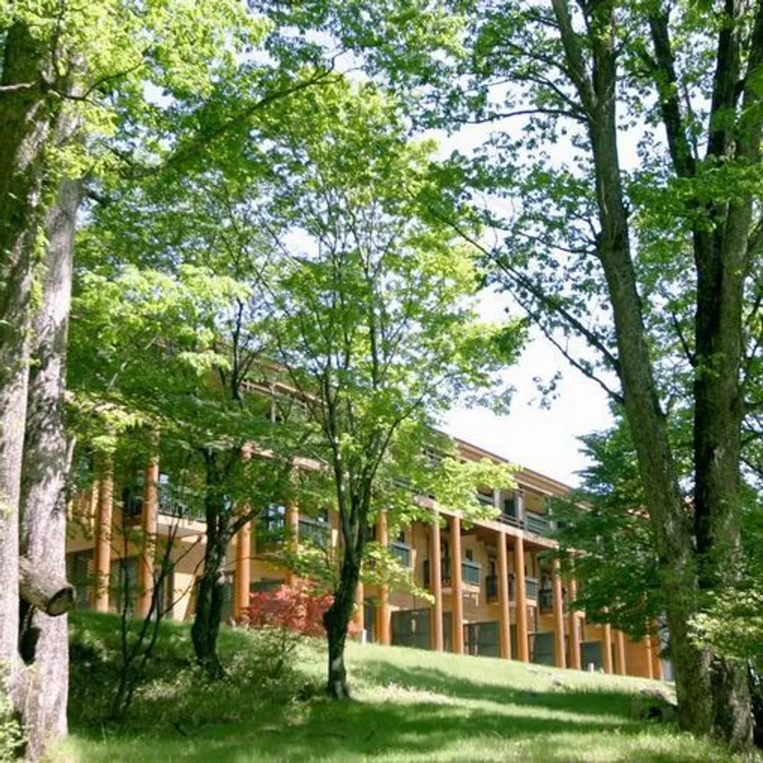 中禅寺温泉 中禅寺金谷饭店｜日光山中禅寺开车9分/中禅寺湖景
