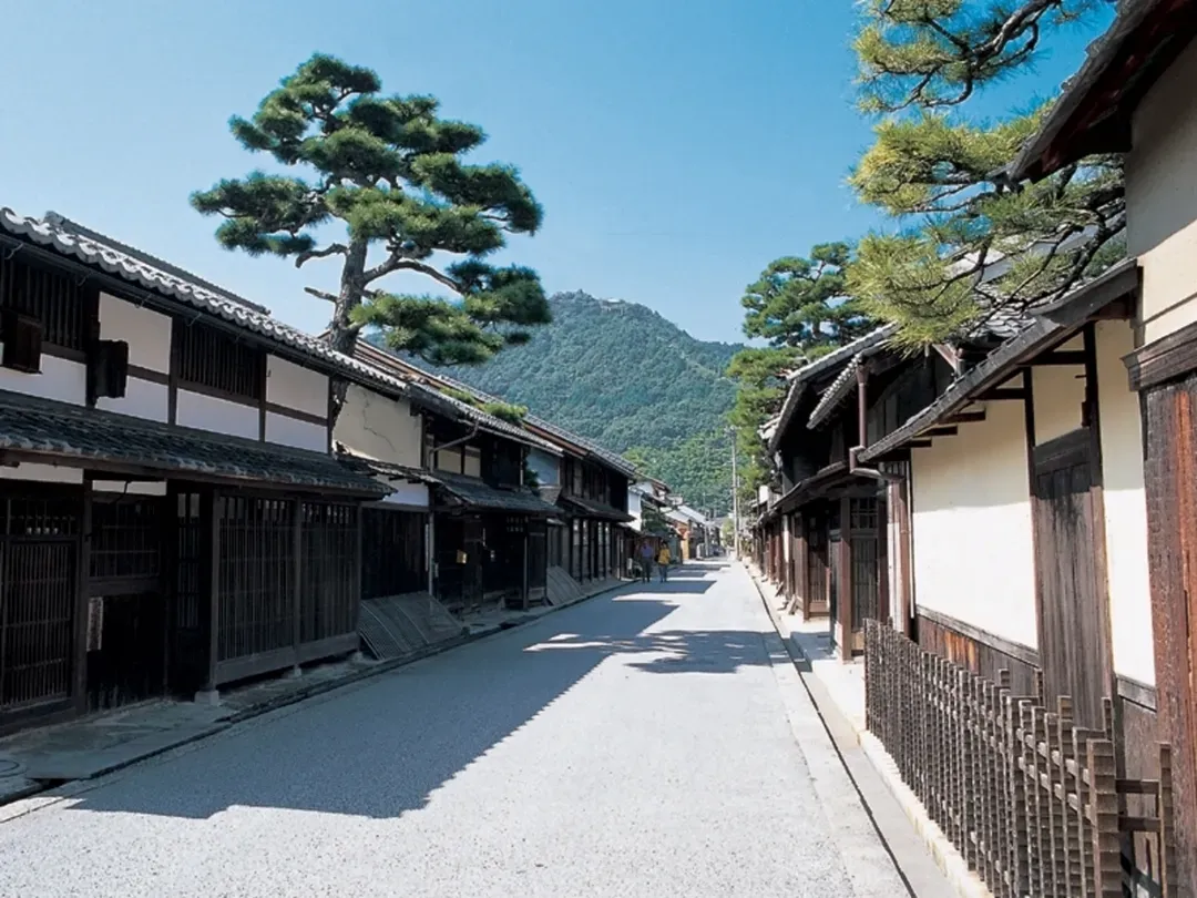 Hotel New Omi-16