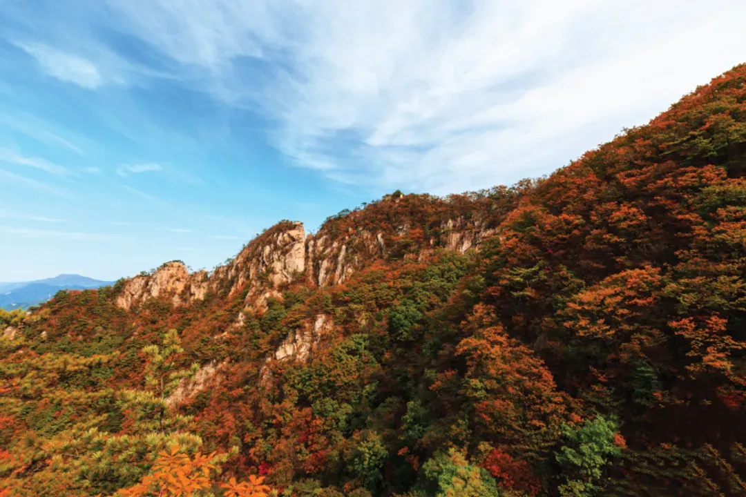 內藏山山景