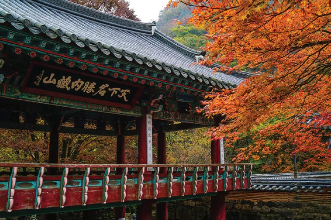 內藏寺景觀