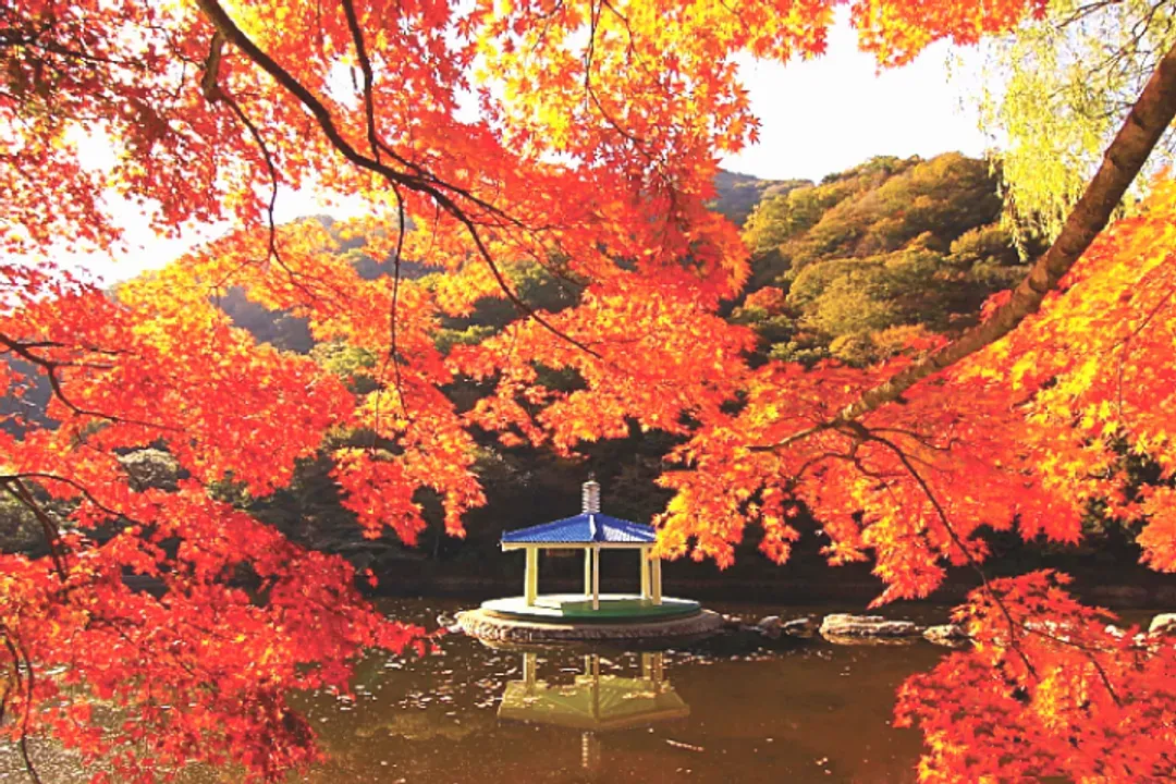 內藏山羽化亭
