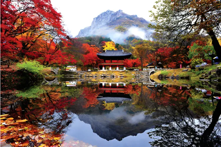 行程簡介-overview