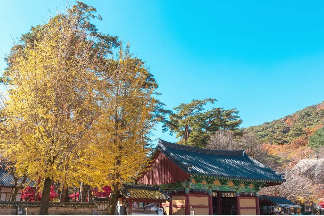 俗離山國立公園