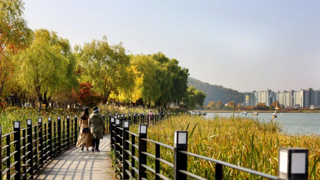 壽城池池邊步道