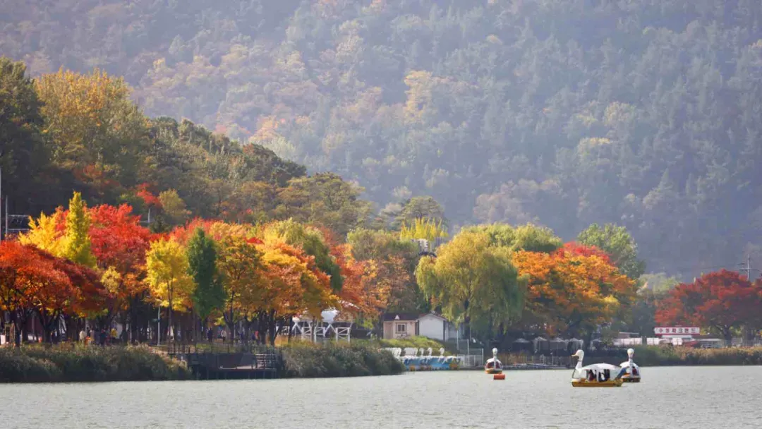 壽城池景觀