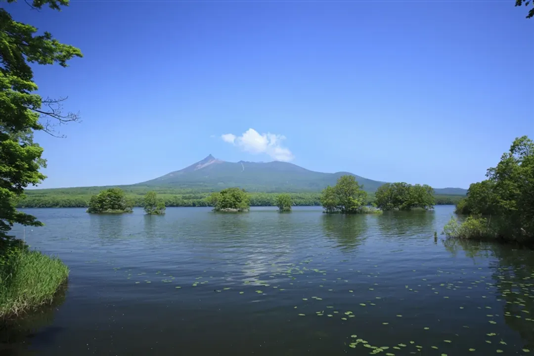 經典冬季北海道｜雪上活動四合一.函館纜車.企鵝遊行.洞爺湖.小樽音樂盒DIY.白色燈樹節.三大螃蟹五日-7