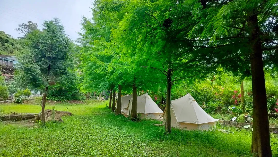 逸香園農場-3