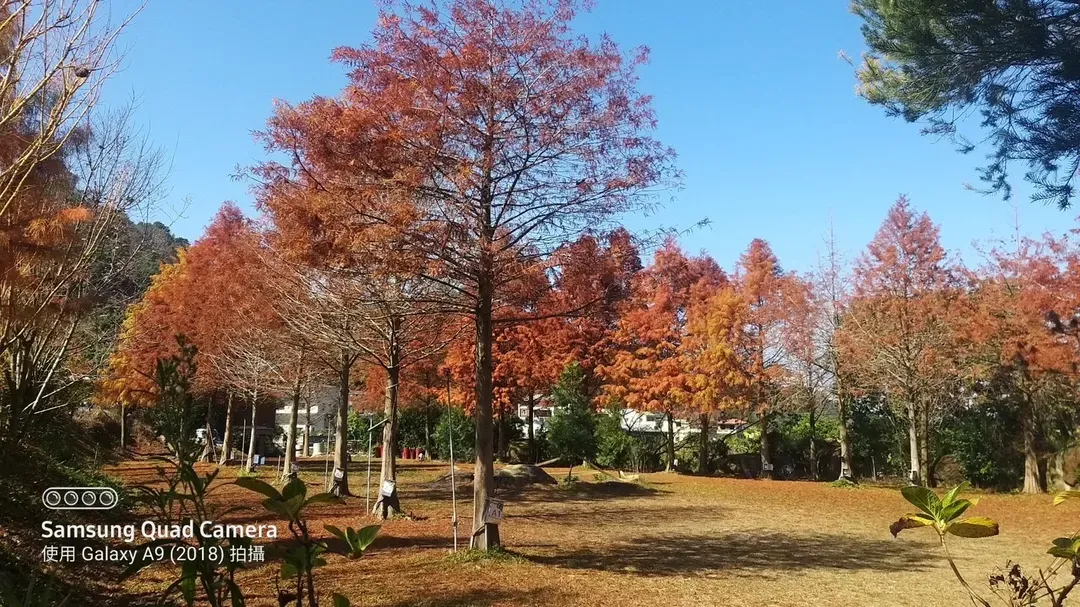 逸香園農場-6