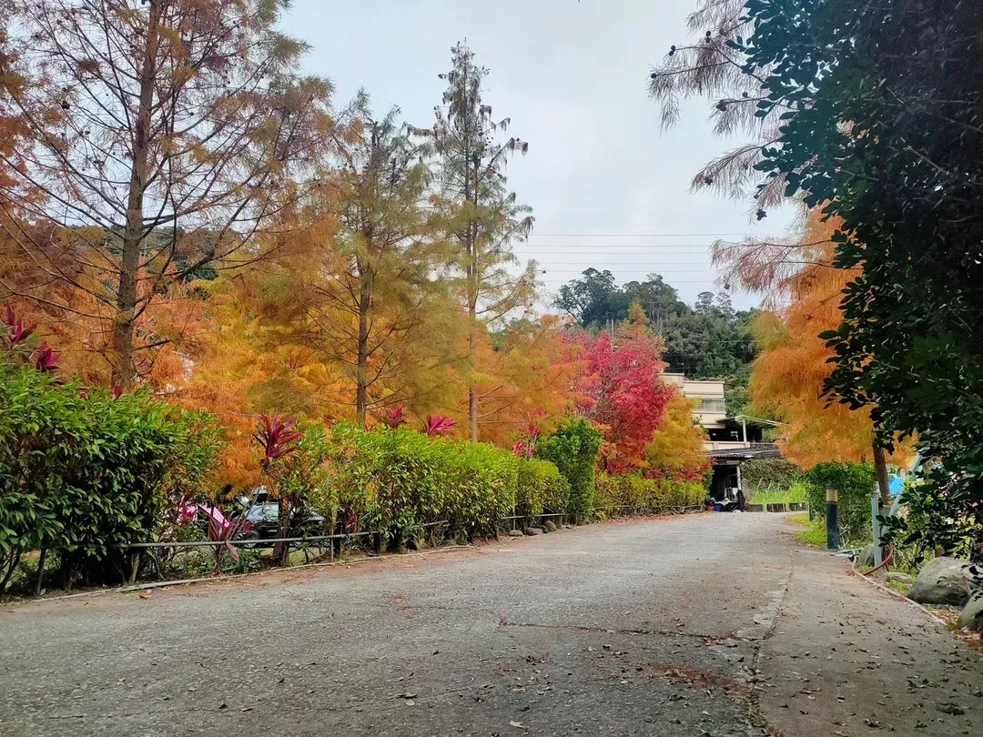 逸香園農場-2