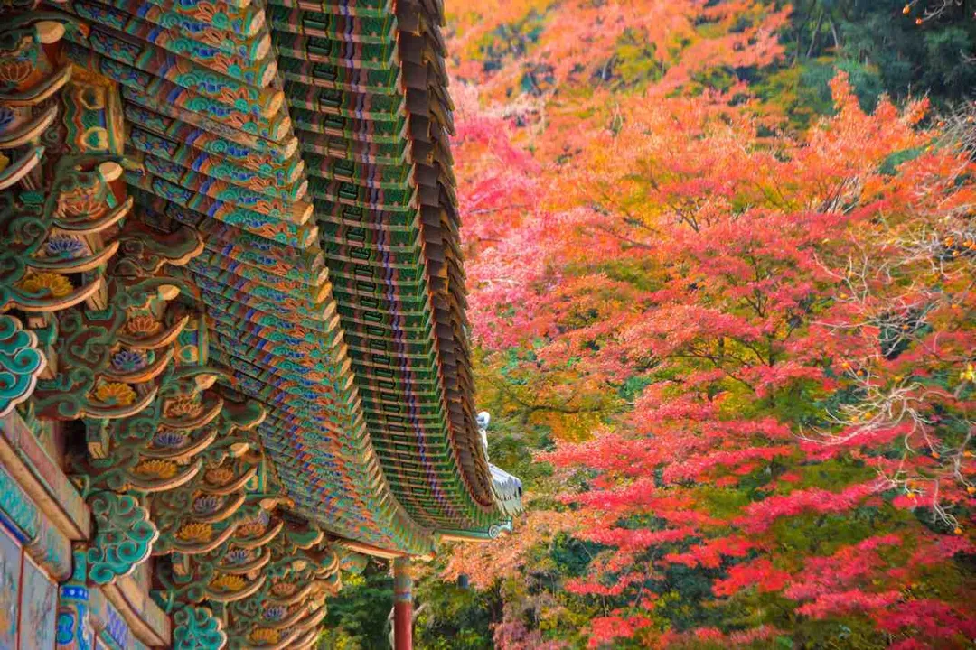 內藏寺