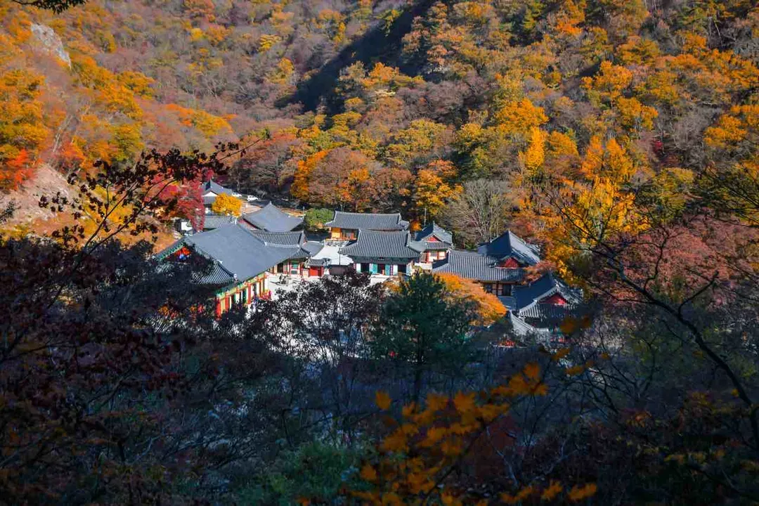 內藏寺