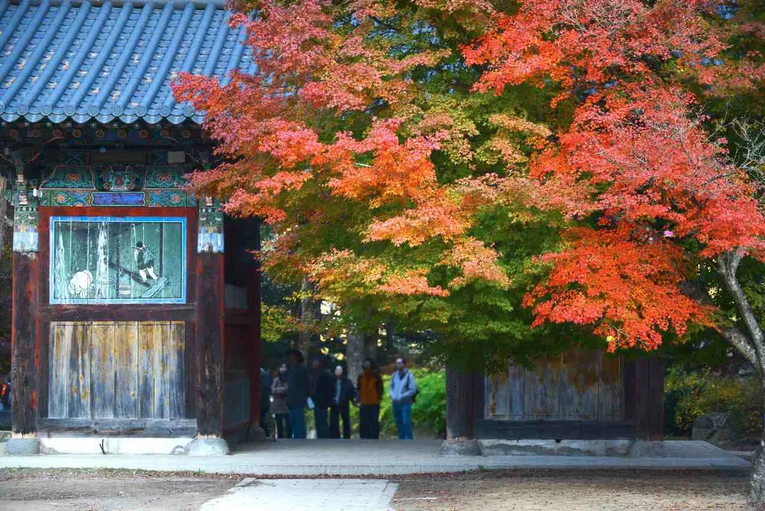 月精寺