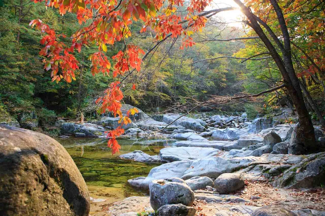 五臺山國立公園景觀