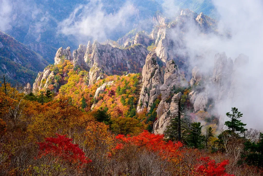 雪嶽山山景