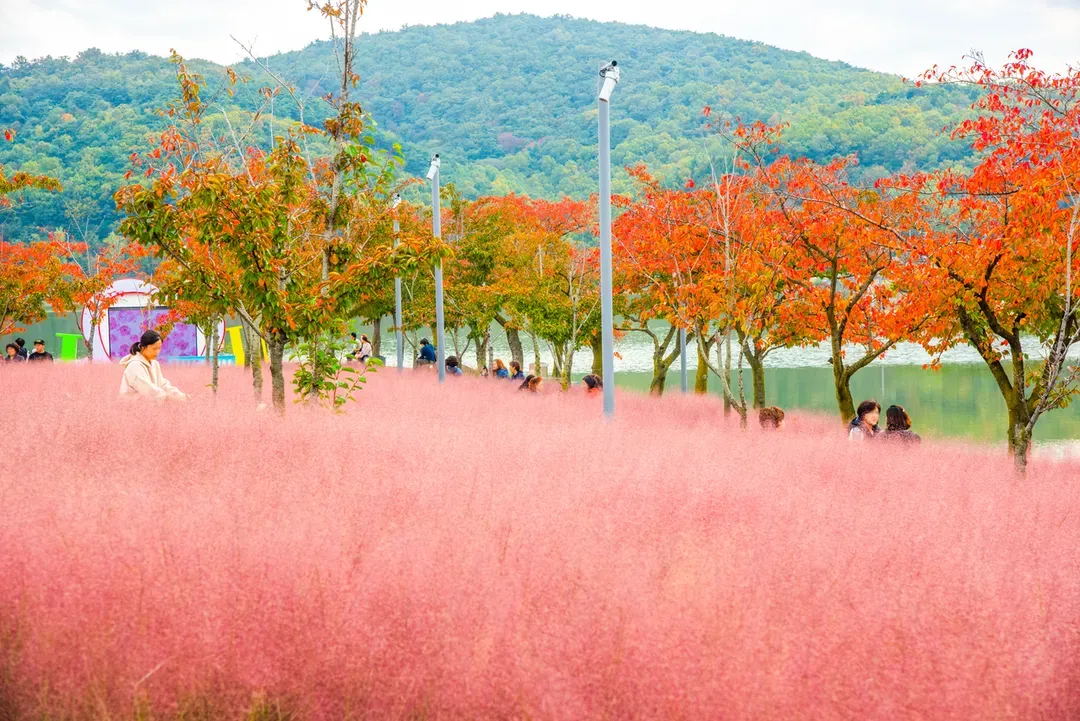 普門觀光園區