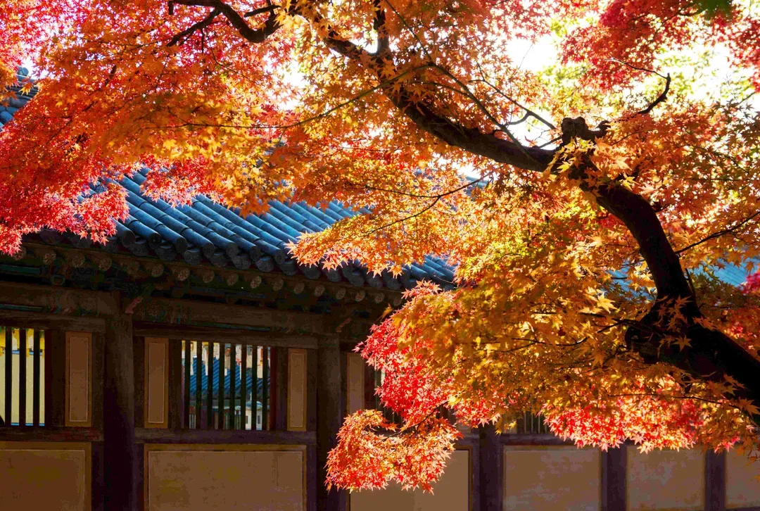 慶州歷史遺址區