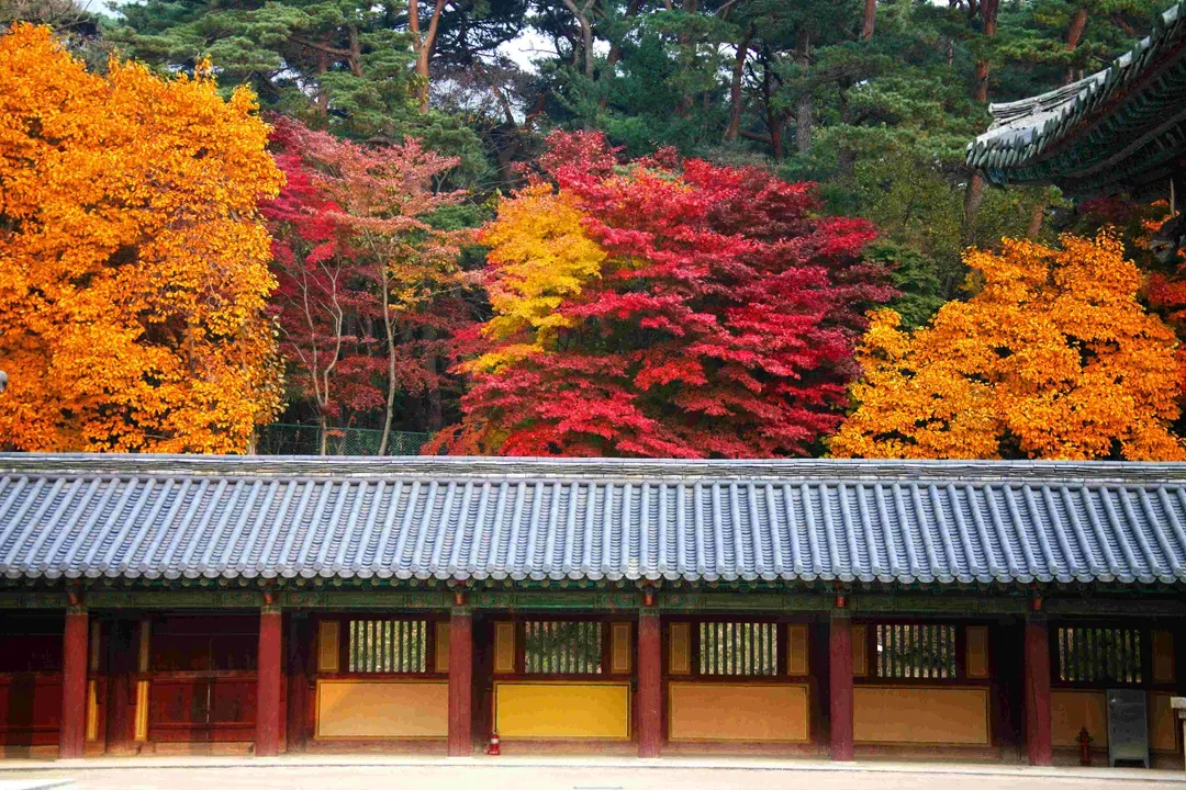 慶州歷史遺址區
