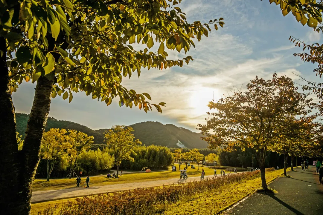 太和江國家公園自然景觀