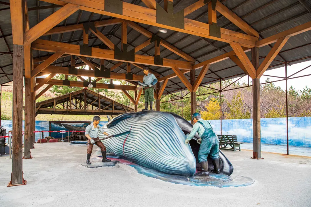 長生浦鯨魚文化村-鯨魚博物館