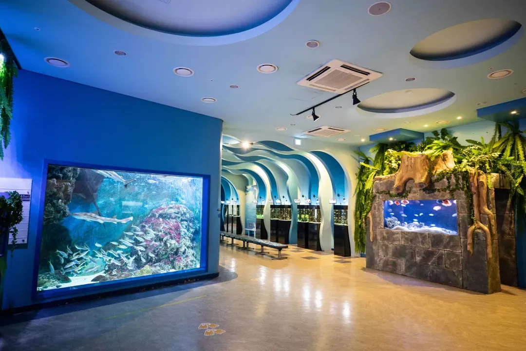 長生浦鯨魚文化村-鯨魚博物館