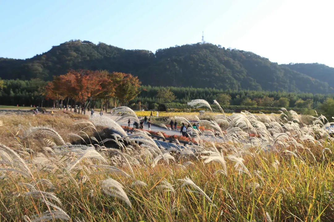 太和江國家公園自然景觀