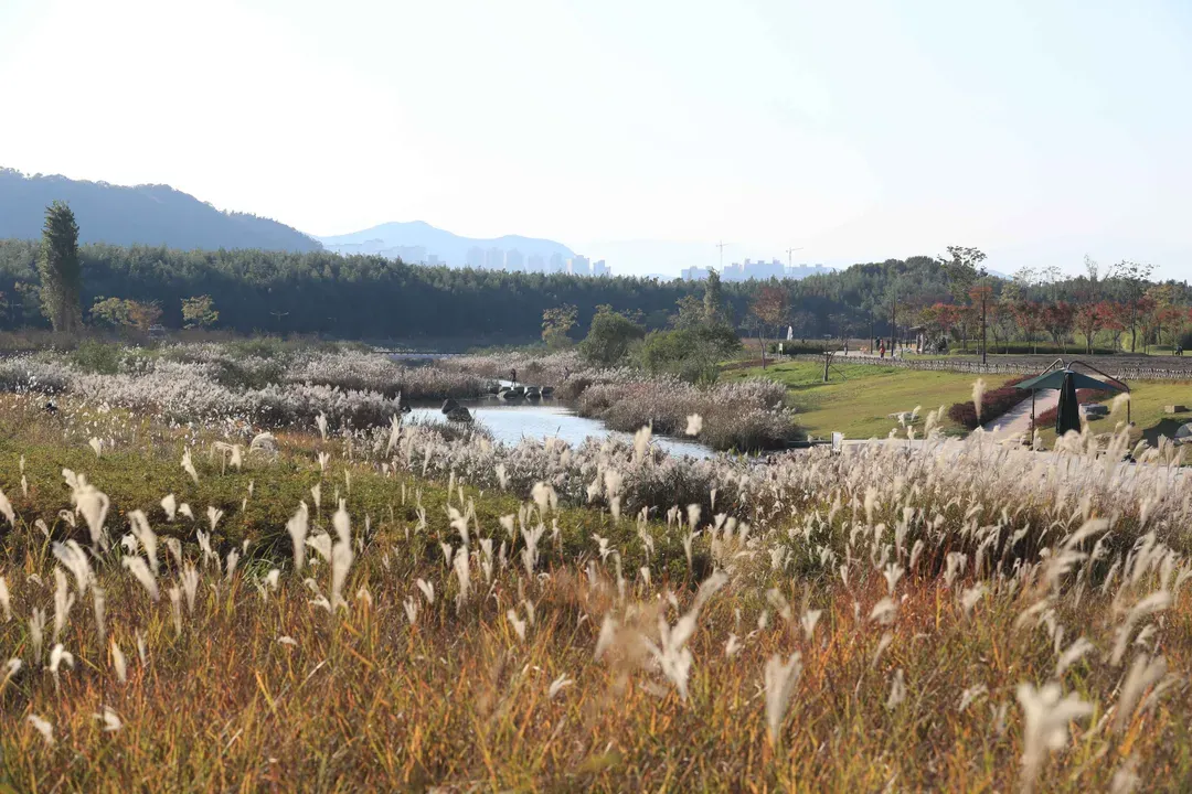 太和江國家公園自然景觀