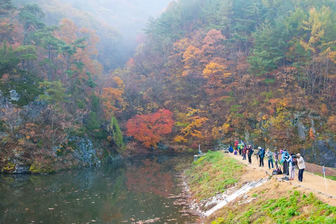 注山池水庫楓景