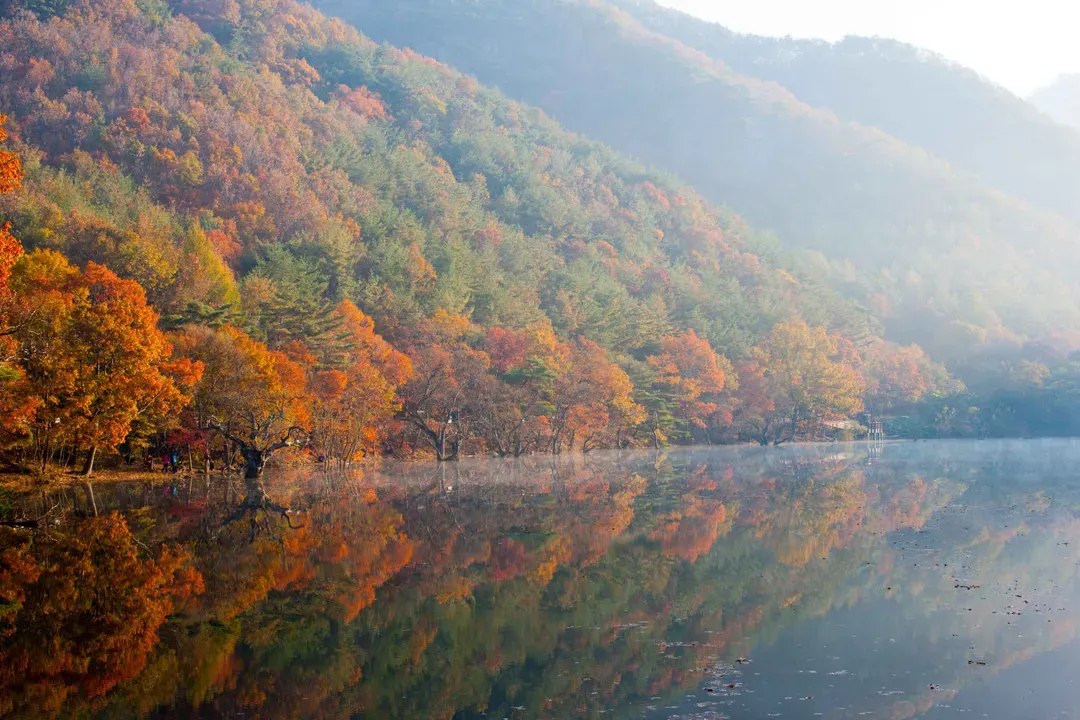 注山池水庫楓景