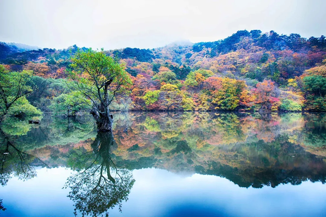 周王山國立公園湖景
