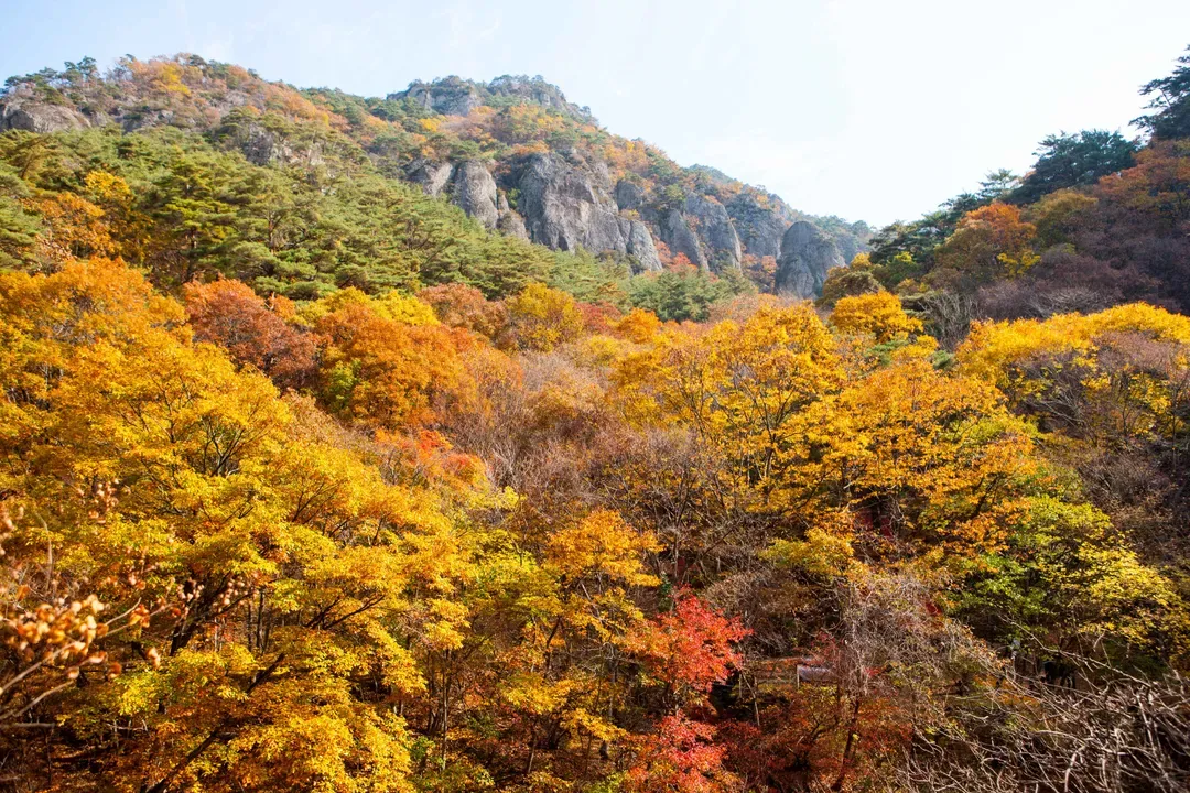 周王山國立公園楓景