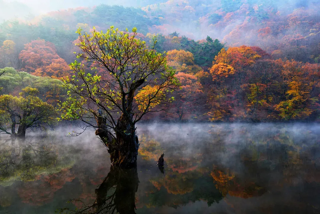 周王山國立公園湖景