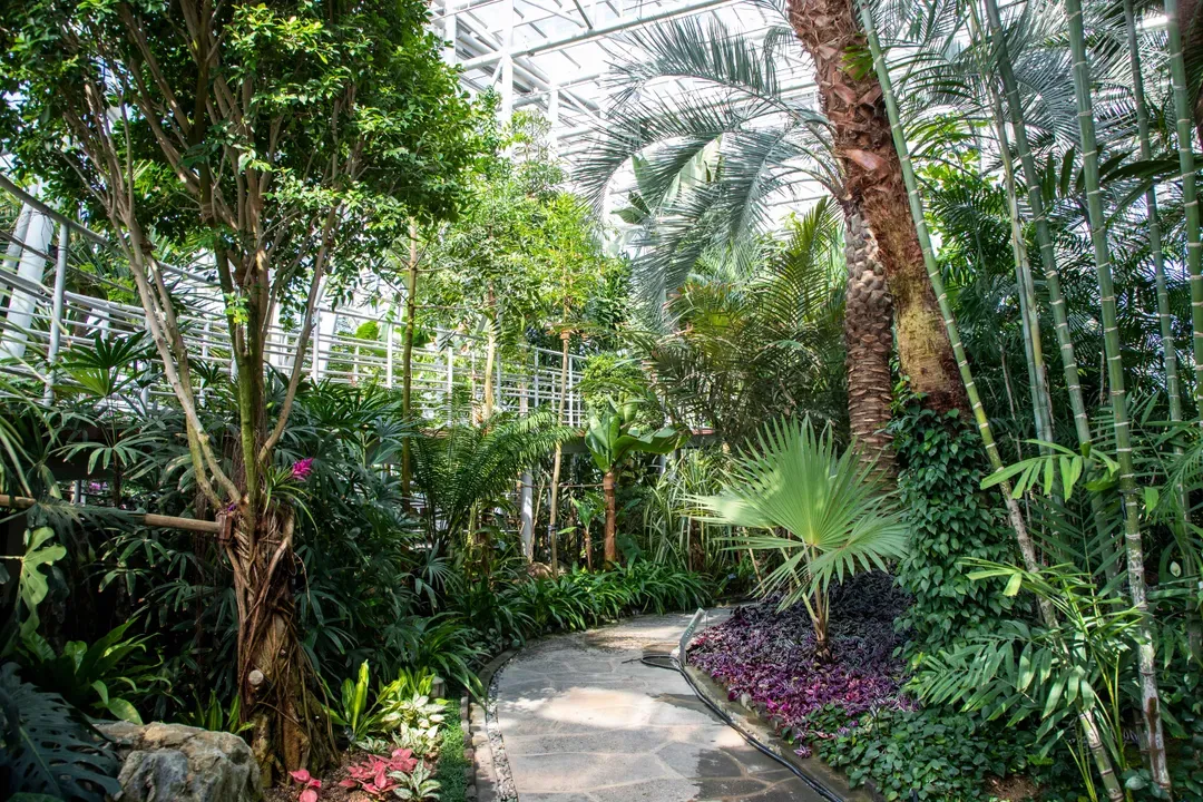 大田樹木園人工植物園