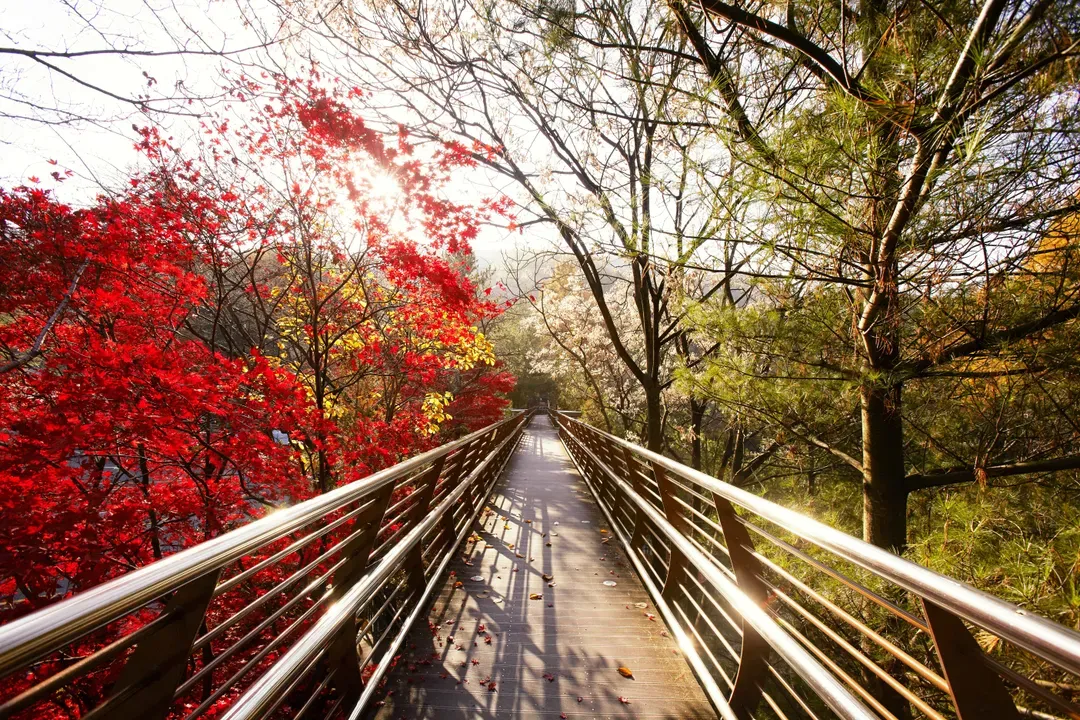 長泰山自然修養林步道