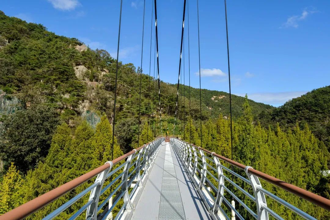 長泰山自然修養林吊橋