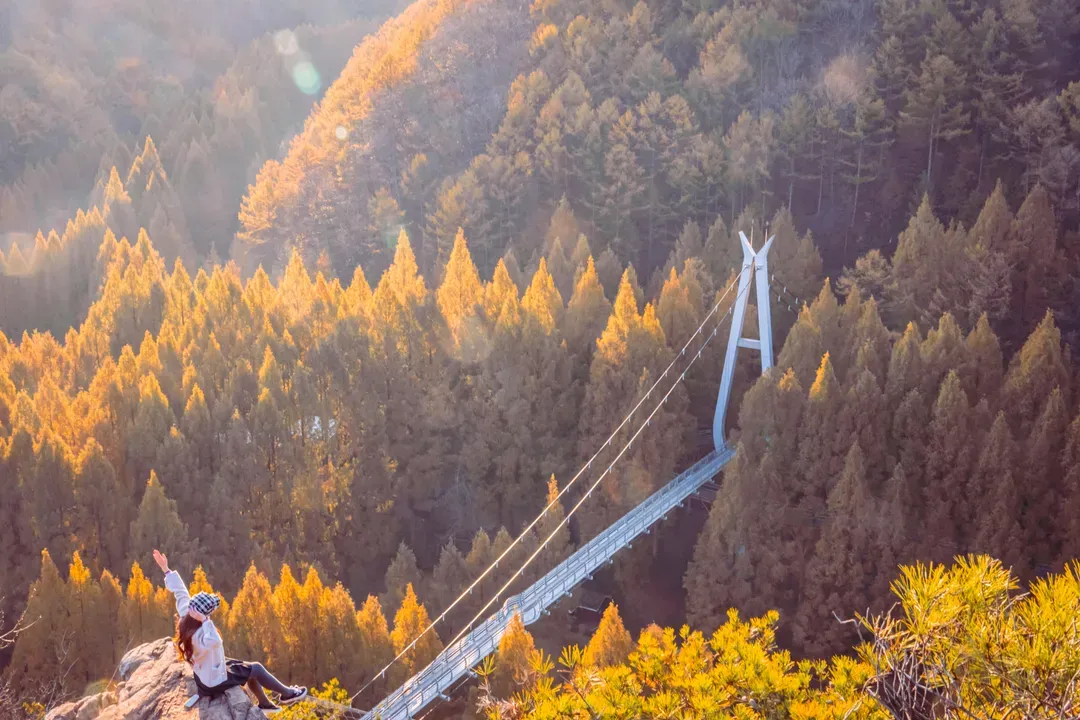 長泰山自然修養林吊橋